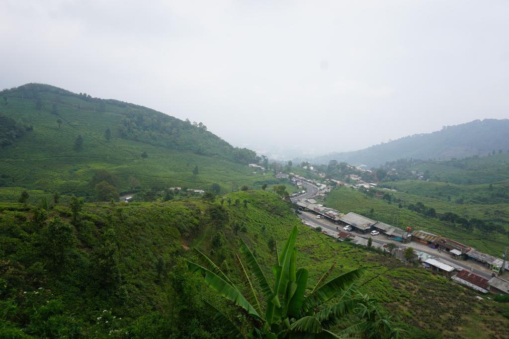 Restoran Rindu Alam Puncak